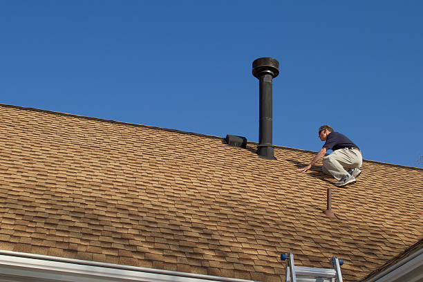 Best Roof Moss and Algae Removal  in White Oak, MD